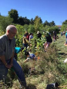 tree-planting-3