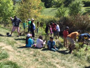 tree-planting-2