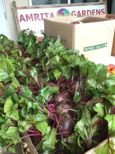 farm-produce-for-charities6