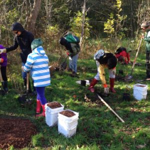 tree-planting-1